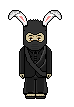 ninja.png