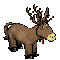 jeff_donkey.gif