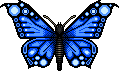 butterfly_01.gif