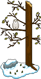 tree_owl.gif