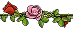 val_sticker_rosewire_horis.gif